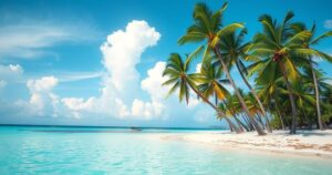 A serene Caribbean beach scene with calm waters, palm trees, and clear blue skies, evoking freedom and relief.