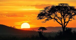 Silhouette of a vibrant savanna landscape at sunset with acacia trees and a colorful sky.